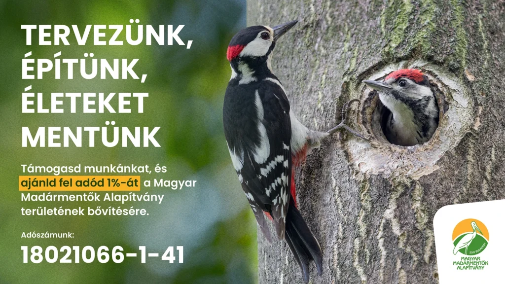SZJA 1% Tervezünk, építünk, életeket mentünk